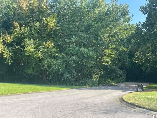 Lot 16 Saddle Creek Subdivision, Murray, KY 42071 - #2