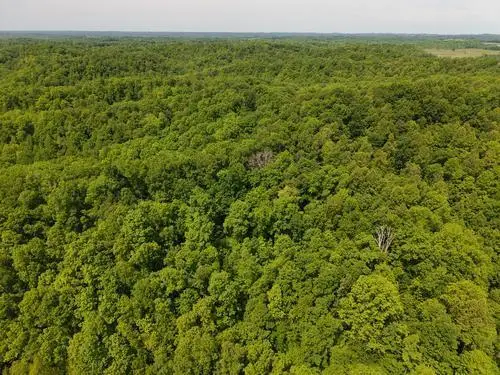 0 Pleasant Run, West Liberty, KY 41472 - #3