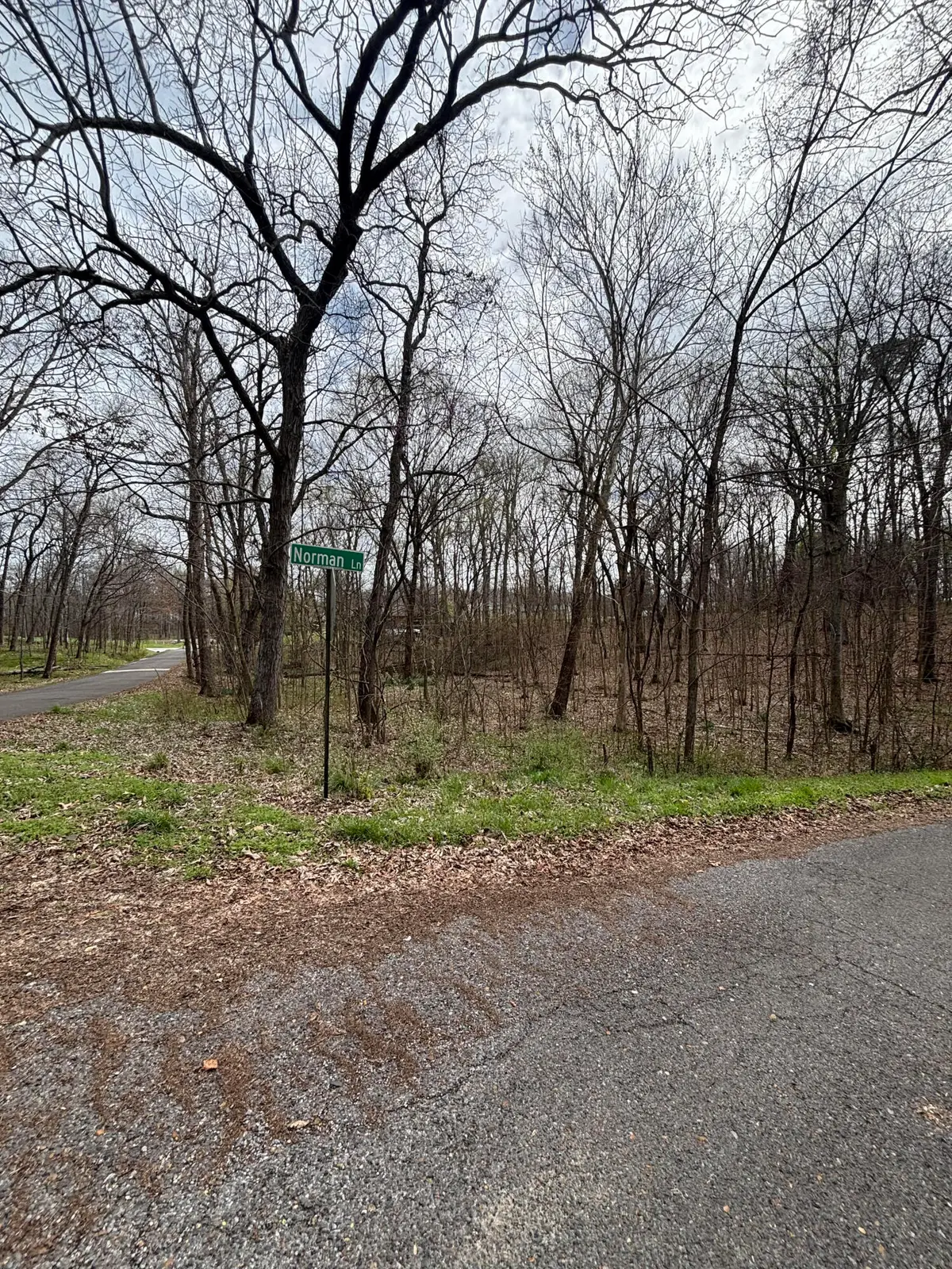 Lot 23 Norman Lane, Mayfield, KY 42066 - #1