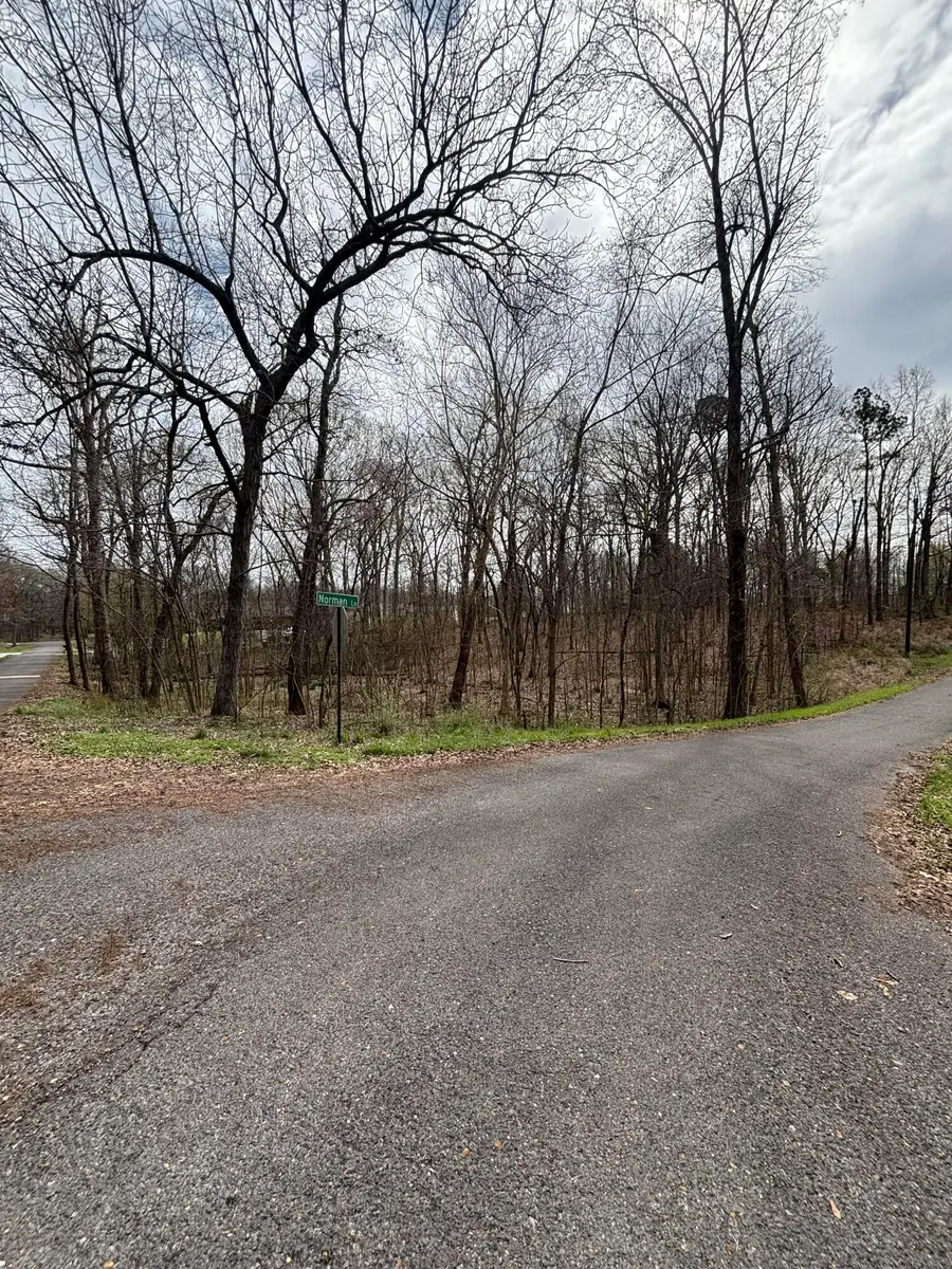 Lot 23 Norman Lane, Mayfield, KY 42066 - #3