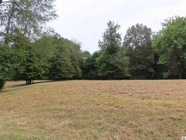 Lots 1, 2, 3, 4 Pacific Avenue, Wingo, KY 42088 - #1