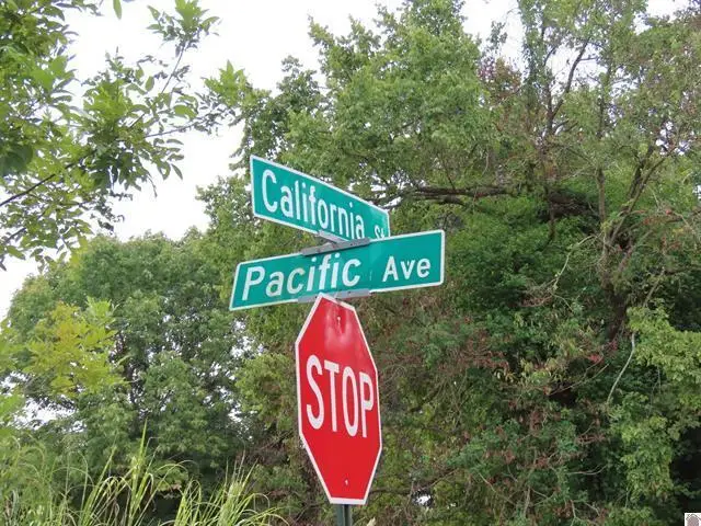 Lots 1, 2, 3, 4 Pacific Avenue, Wingo, KY 42088 - #2