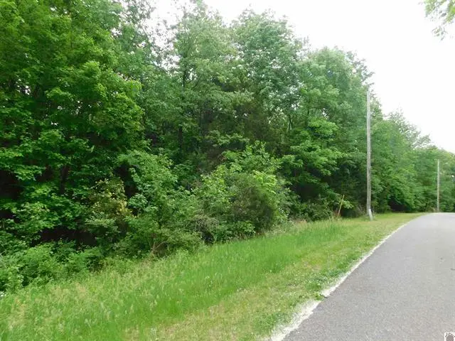 0 Devillez Road #Lots 63, 64, 65, Eddyville, KY 42038 - #2