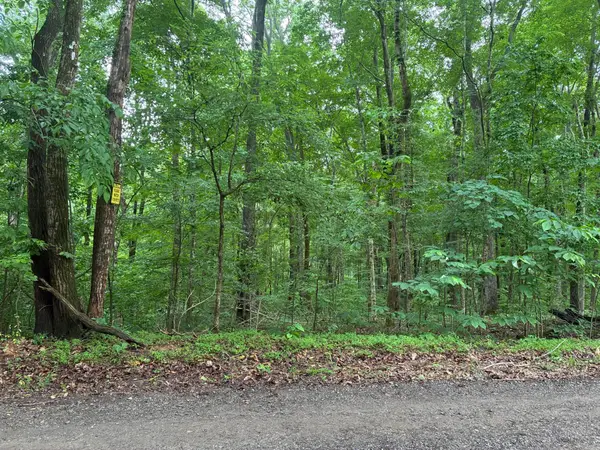 8v Redwood Drive, Cadiz, KY 42211