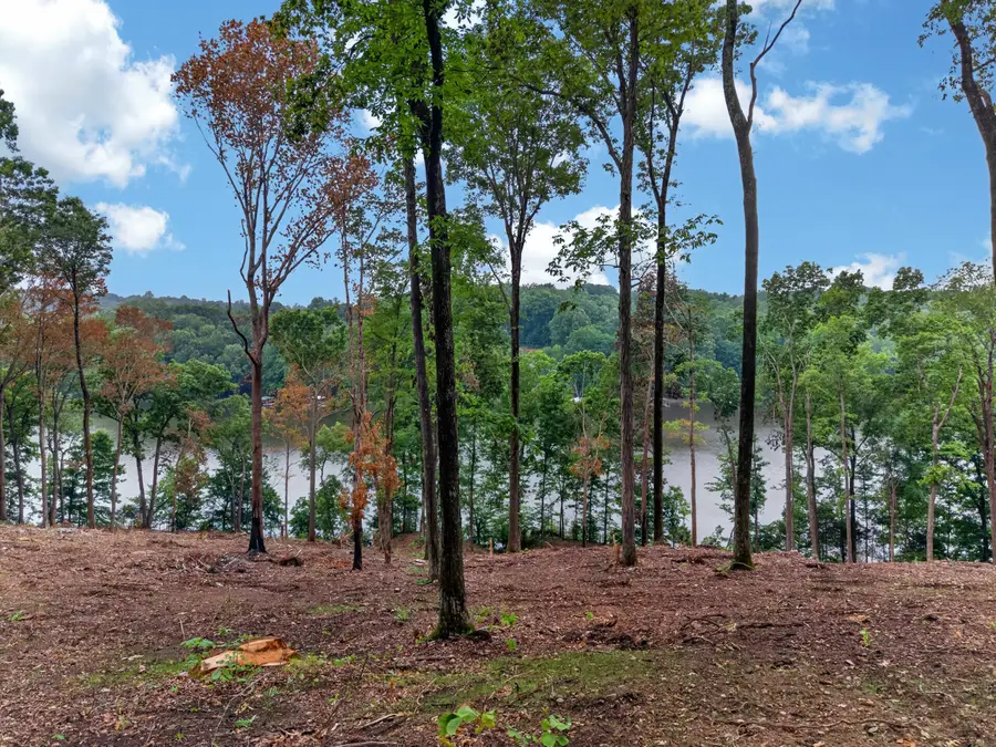Lot 12 Elwood Road, Eddyville, KY 42038 - #2