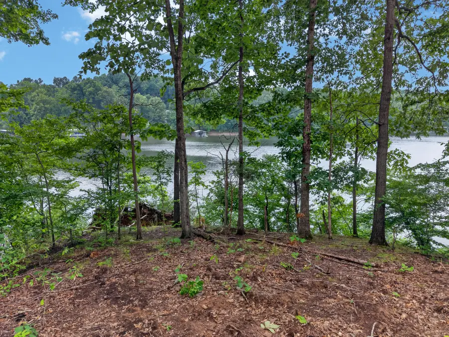 Lot 12 Elwood Road, Eddyville, KY 42038 - #3