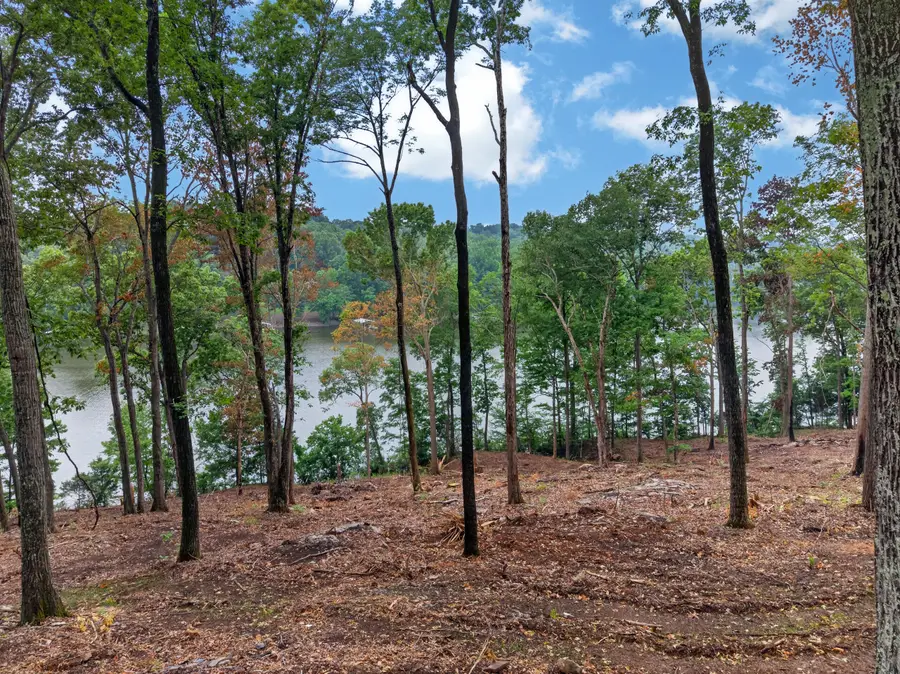 Lot 13 Elwood Road, Eddyville, KY 42038 - #2