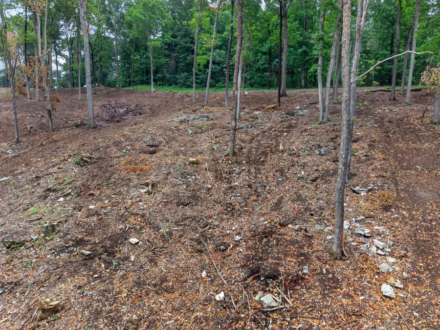 Lot 13 Elwood Road, Eddyville, KY 42038 - #3