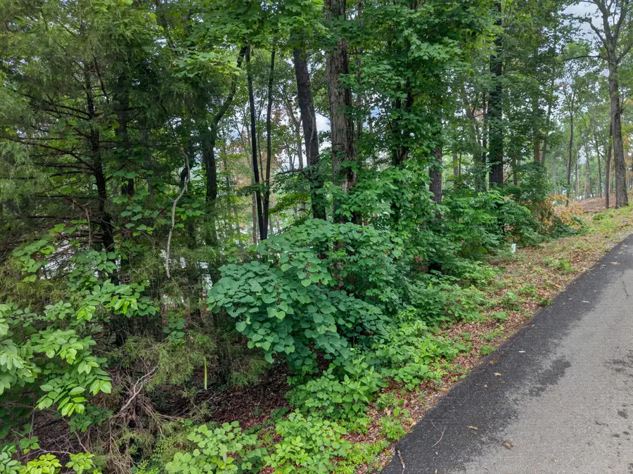 Lot 14 Elwood Road, Eddyville, KY 42038 - #3