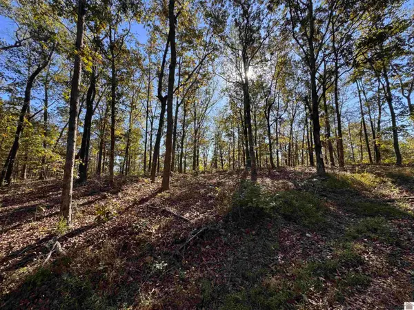 00 Ridge Road, New Concord, KY 42076