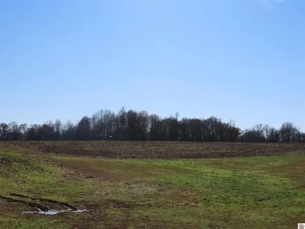 ST RT 45 S Boyd, Wingo, KY 42088