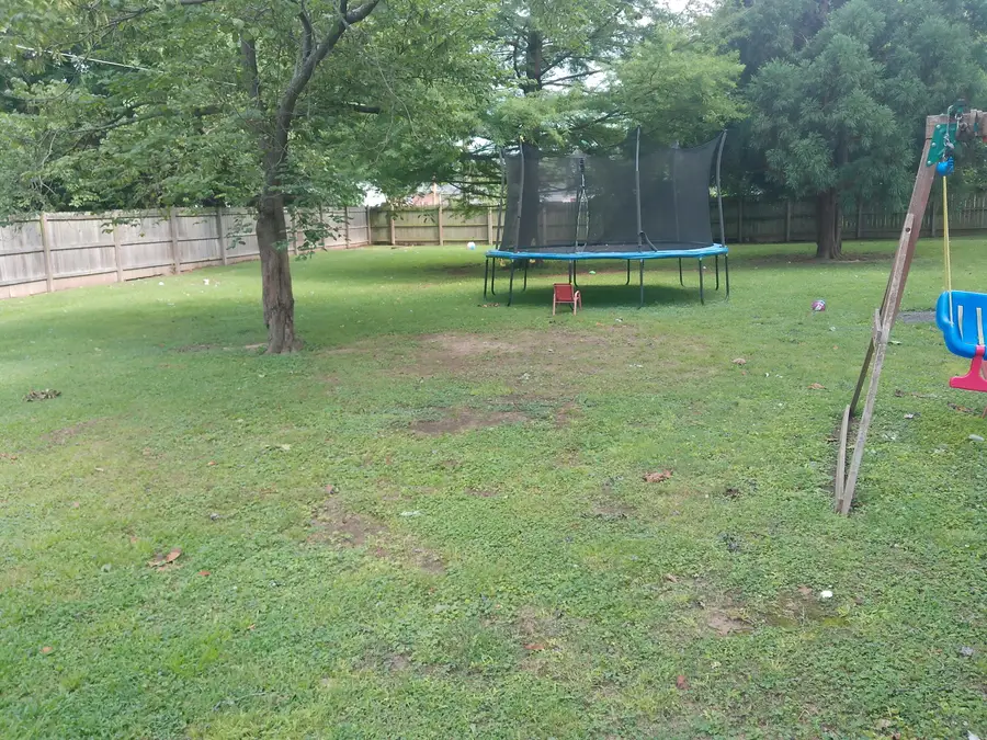 444 Cindy Drive, Ledbetter, KY 42058 - #3