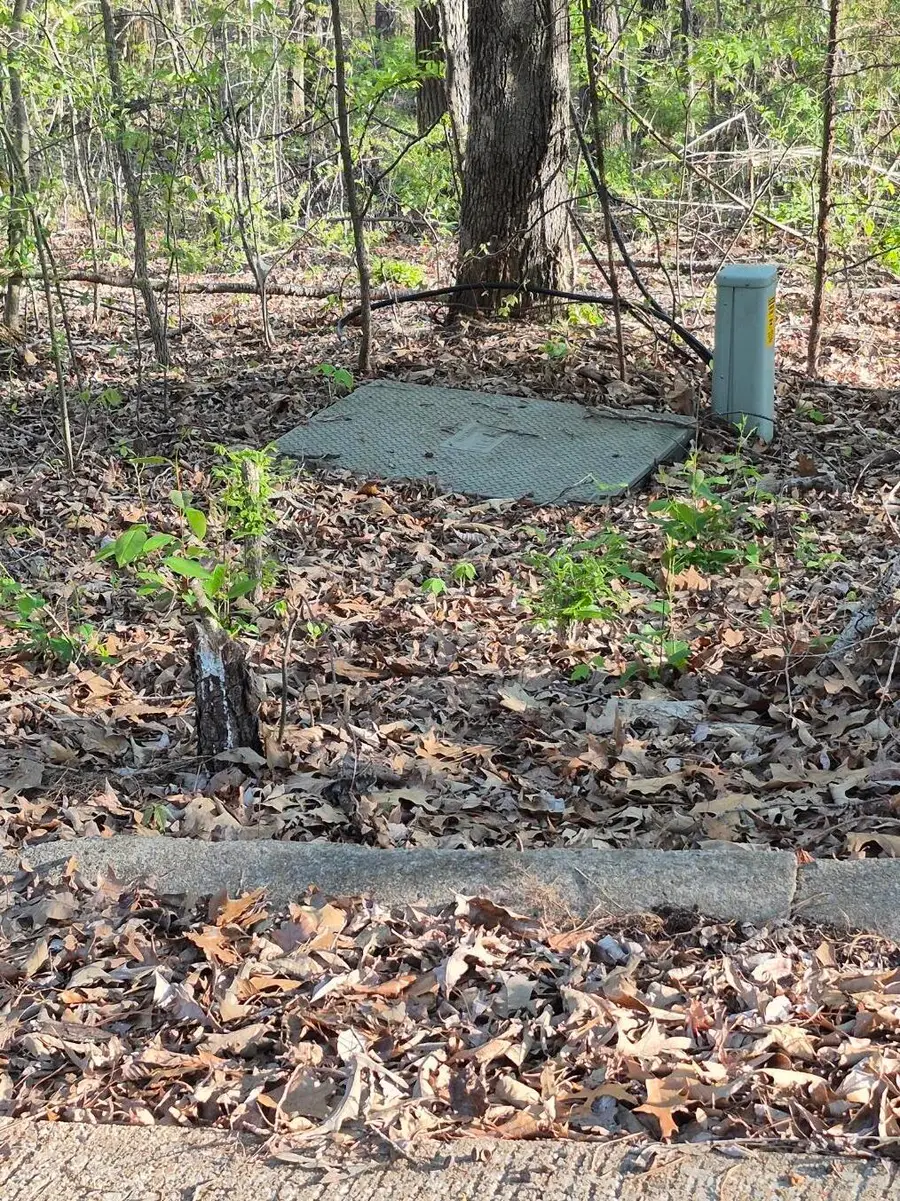 63OB00002 Bear Run Trail, Benton, KY 42025 - #3