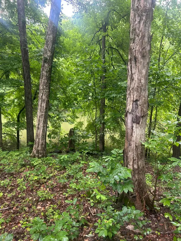 124 Woodfield Estates Drive #Lot 124-128, Cadiz, KY 42211