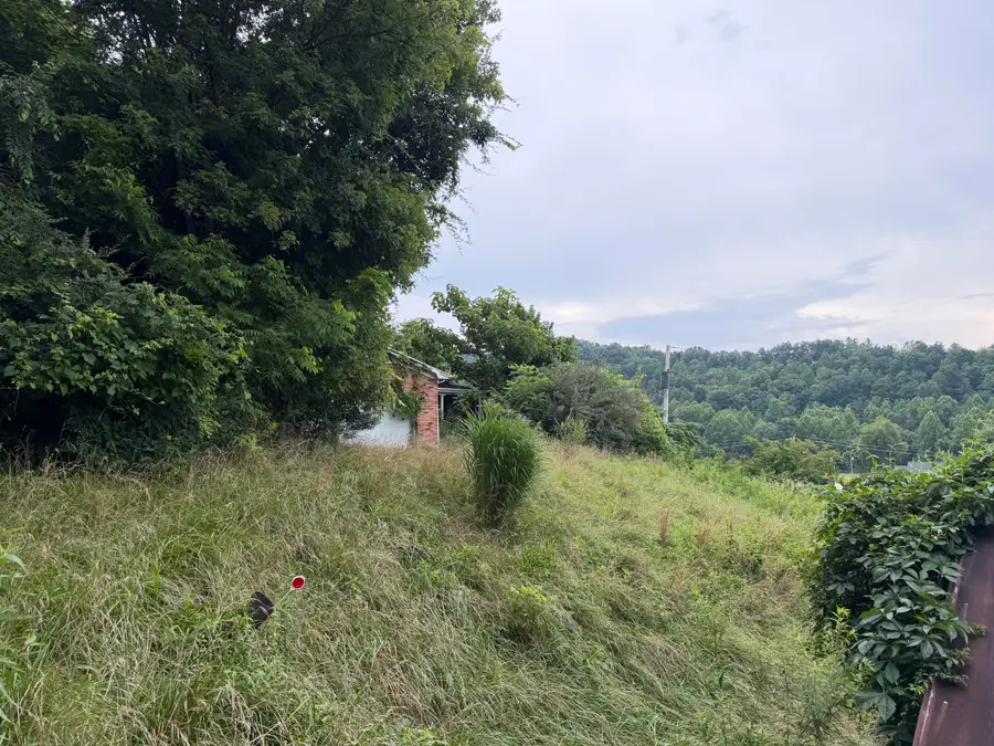 2 Black Powder Lane, Salyersville, KY 41465 - #3
