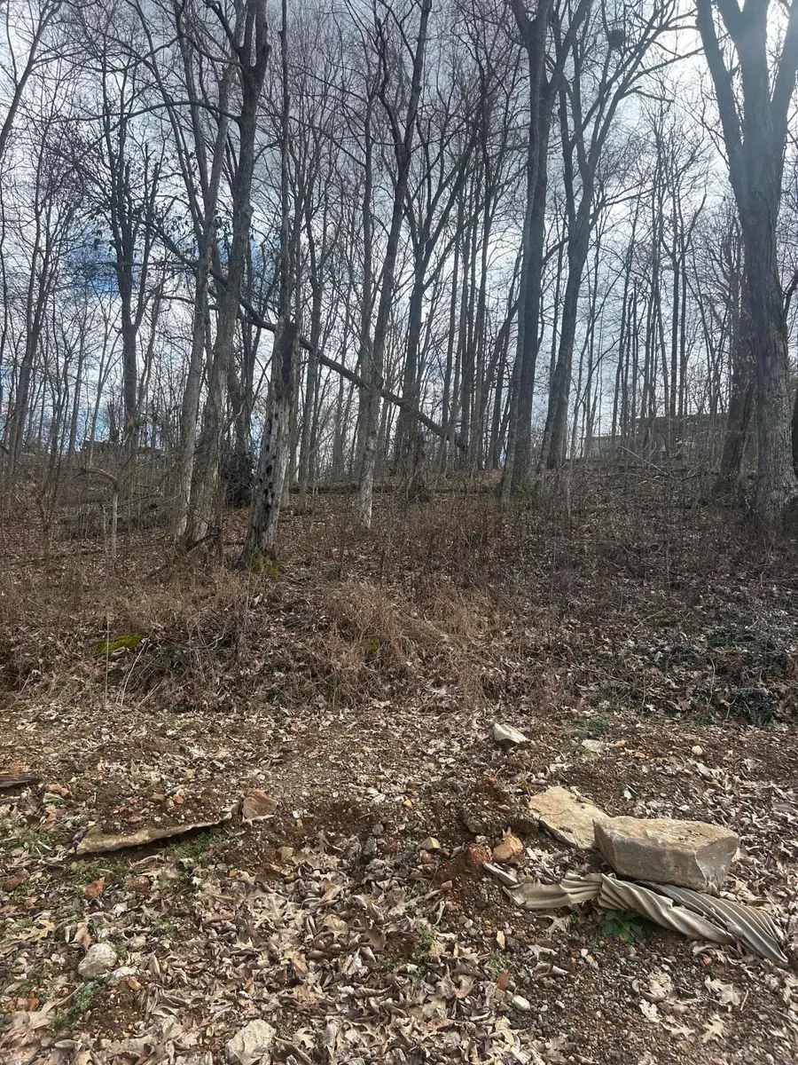Rockastle Shores Ferrell Circle #26 I, Cadiz, KY 42211 - #2