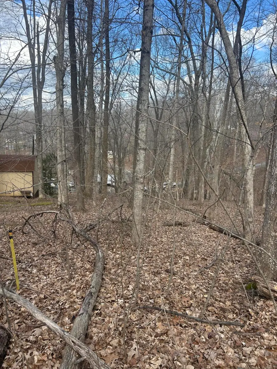 Rockastle Shores Ferrell Circle #26 I, Cadiz, KY 42211 - #3