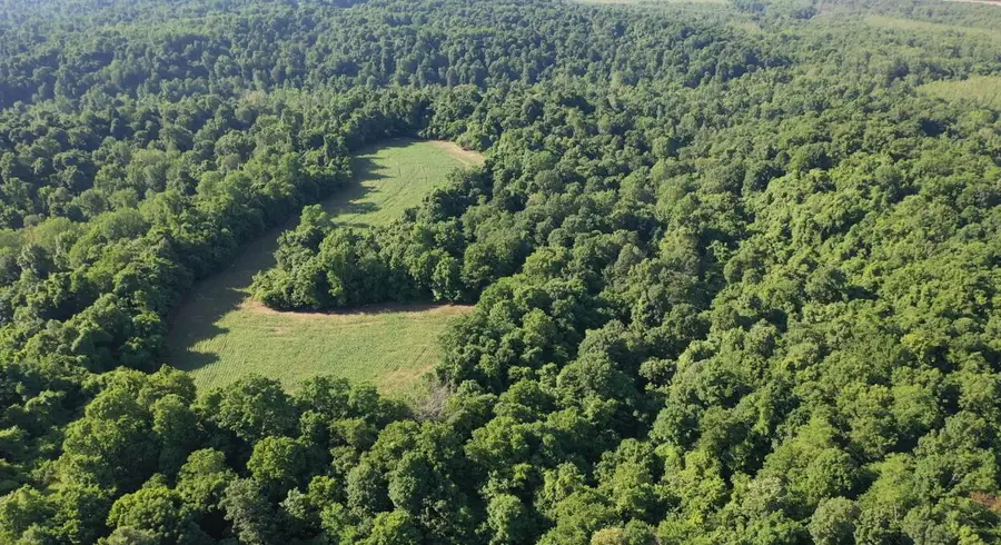 000 Sandy Branch Road, Bardwell, KY 42023 - #3
