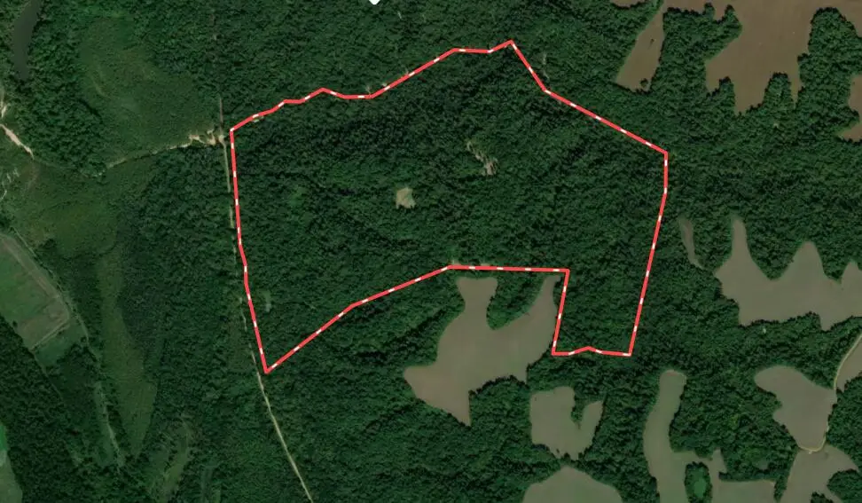 000 Sandy Branch Road, Bardwell, KY 42023 - #1