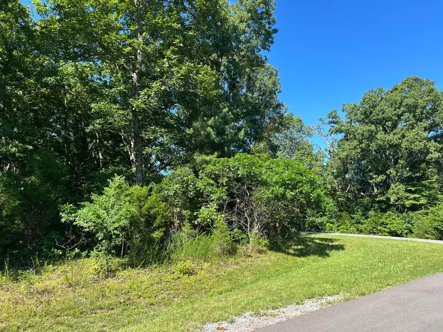 Lot 131 Deepwood Drive, Murray, KY 42071 - #2