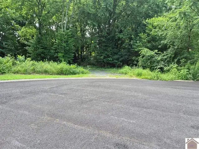 22 Robyn Lane, Benton, KY 42025 - #3