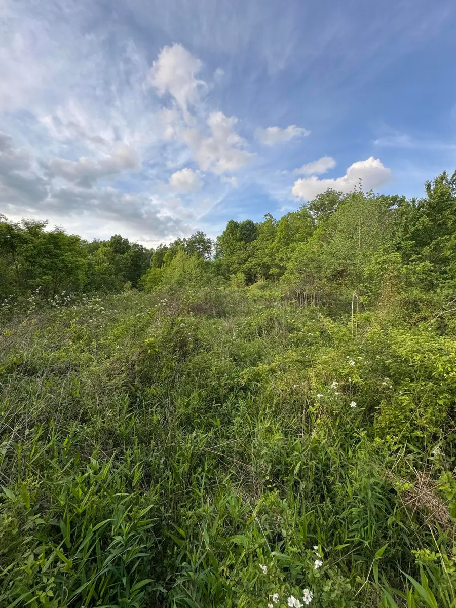 001 Fence Road, London, KY 40741 - #2