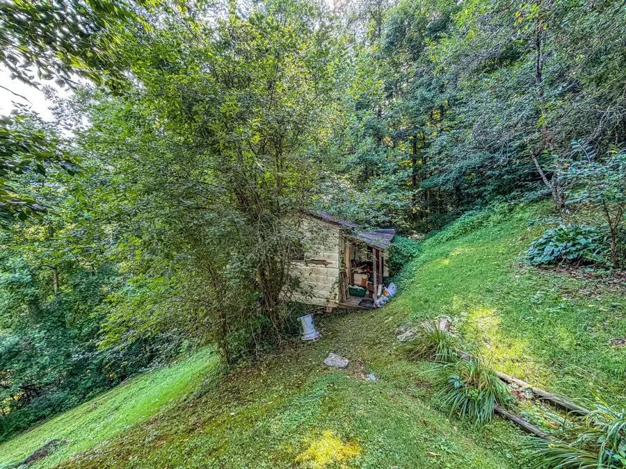 299 George Neil Hill Left Road, Pineville, KY 40977 - #2