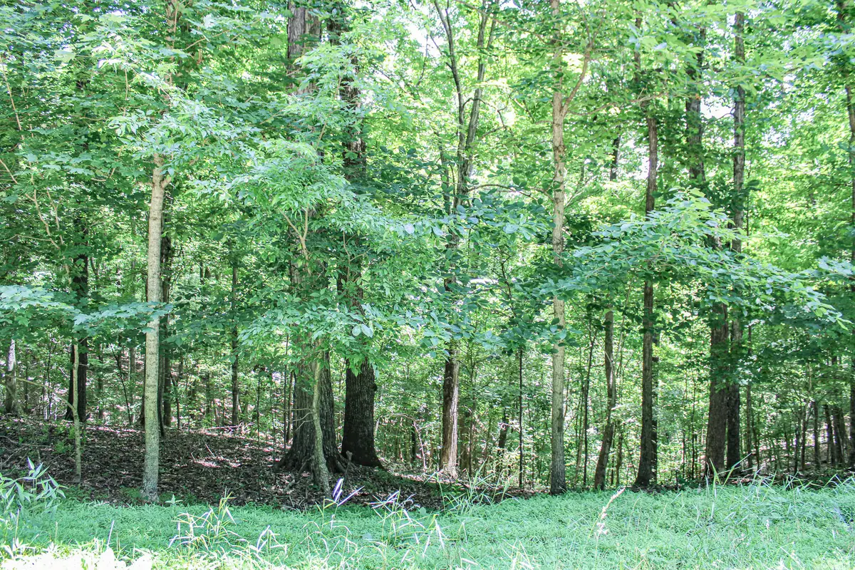 0 Algonquin Road, Eddyville, KY 42038 - #1