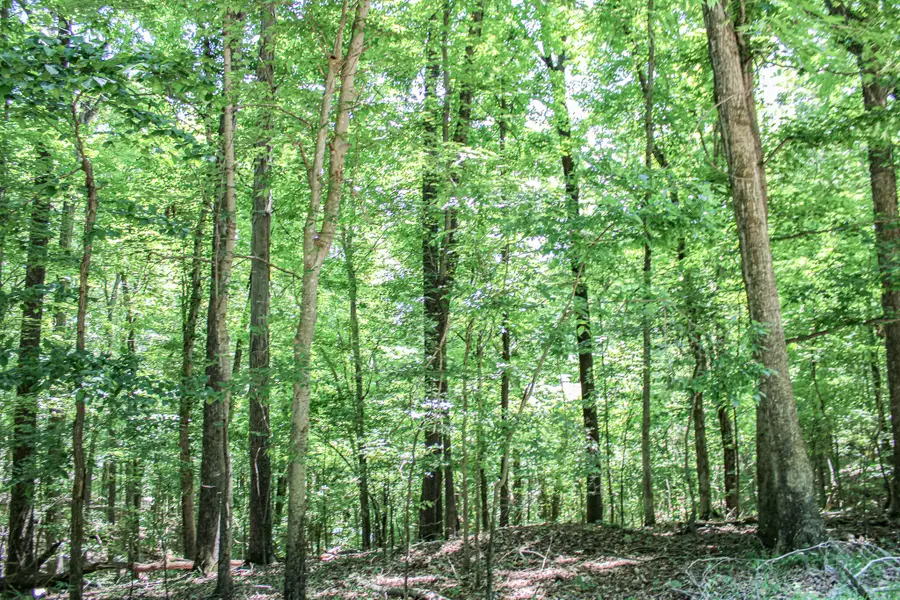 0 Algonquin Road, Eddyville, KY 42038 - #3