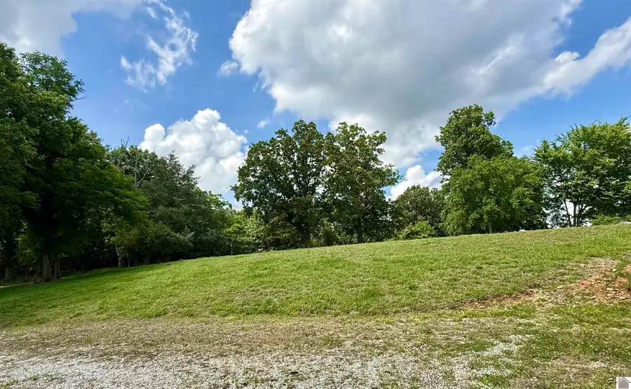 42 Meadowlark Lane, Eddyville, KY 42038 - #2