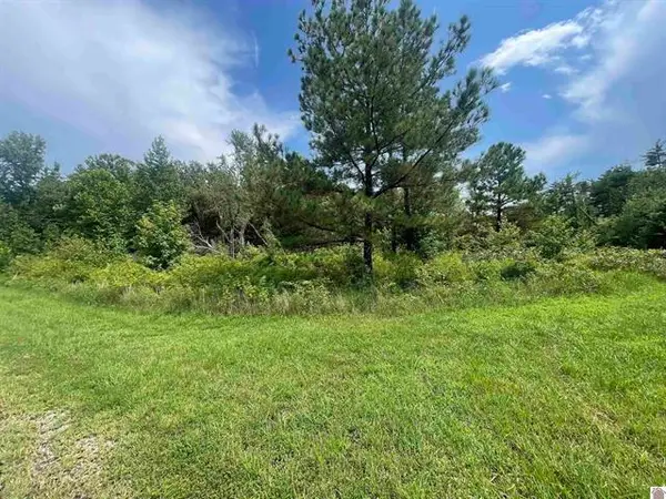 Lot #3 0 Deepwood Drive, Murray, KY 42071