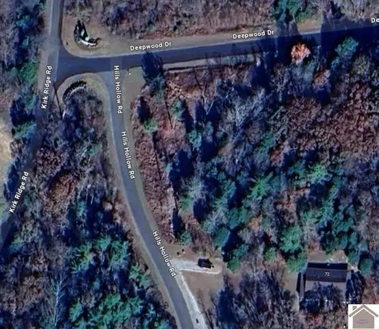 Lot #3 0 Deepwood Drive, Murray, KY 42071 - #3