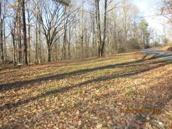 00 Downing Road, Kirksey, KY 42054