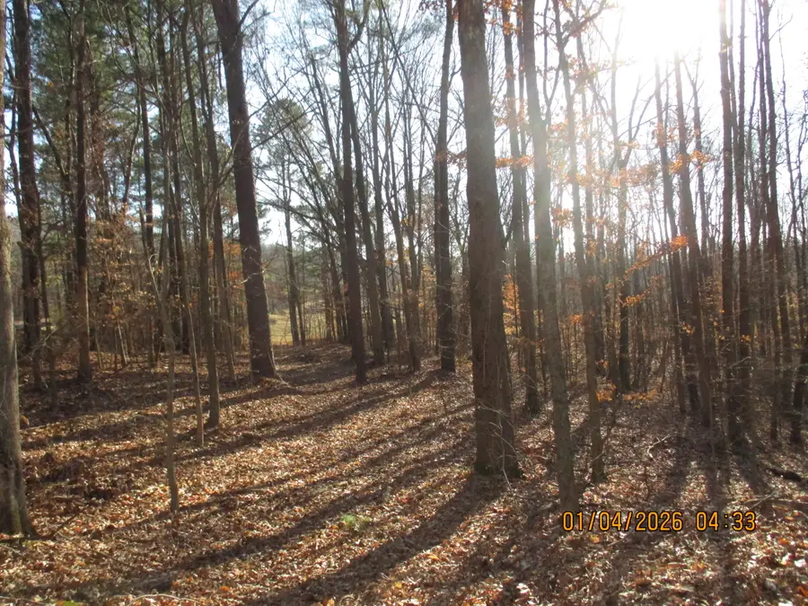 00 Downing Road, Kirksey, KY 42054 - #2