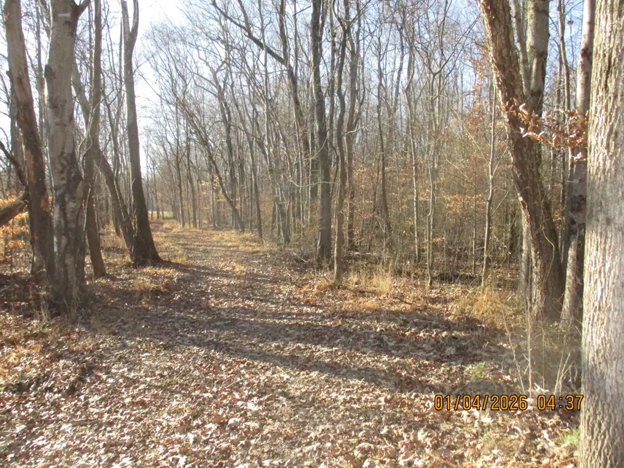 00 Downing Road, Kirksey, KY 42054 - #3