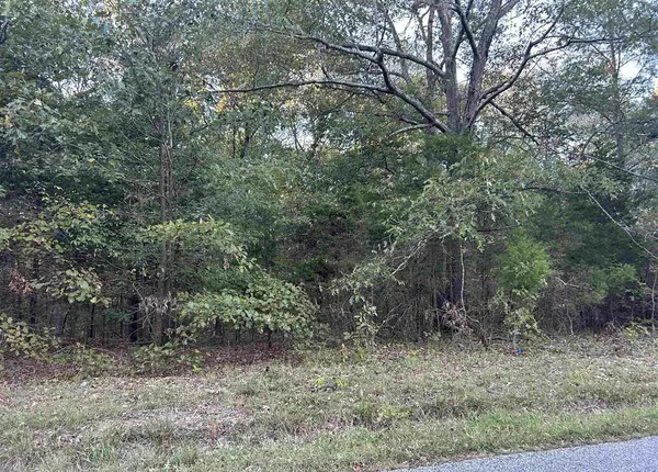 Lot 2 Beal Road, Hardin, KY 42048