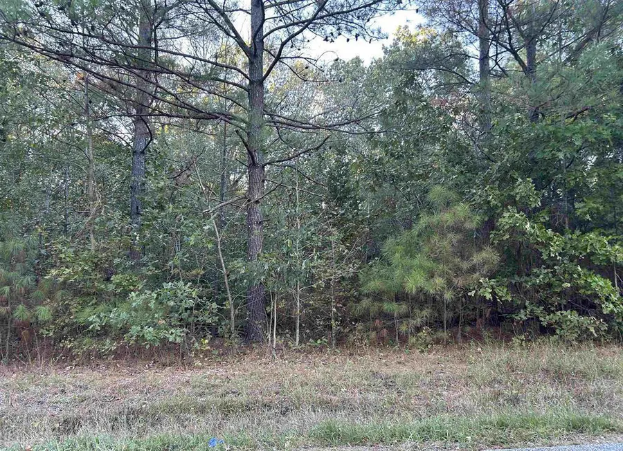 Lot 2 Beal Road, Hardin, KY 42048 - #2