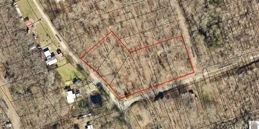 Lot 14-16,115, 154, 155 Linton Drive, Cadiz, KY 42211 - #3