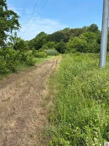 5600 Mayfield Metropolis Road, West Paducah, KY 42086 - #1