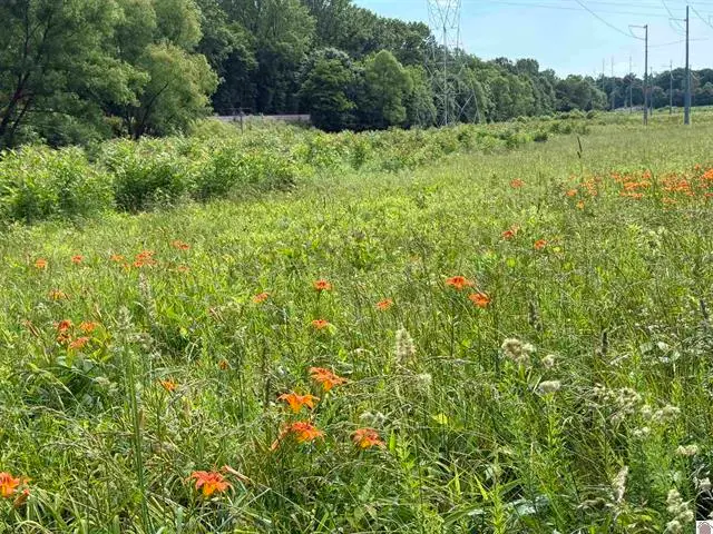 5600 Mayfield Metropolis Road, West Paducah, KY 42086 - #2