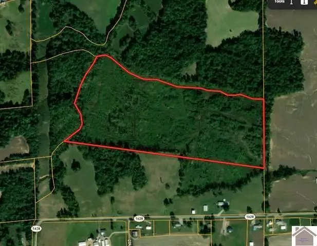 115 County Road 1039, Bardwell, KY 42023 - #2