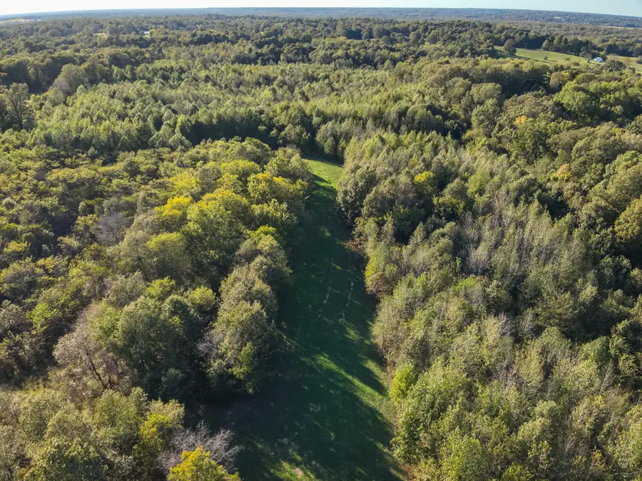 115 County Road 1039, Bardwell, KY 42023 - #3