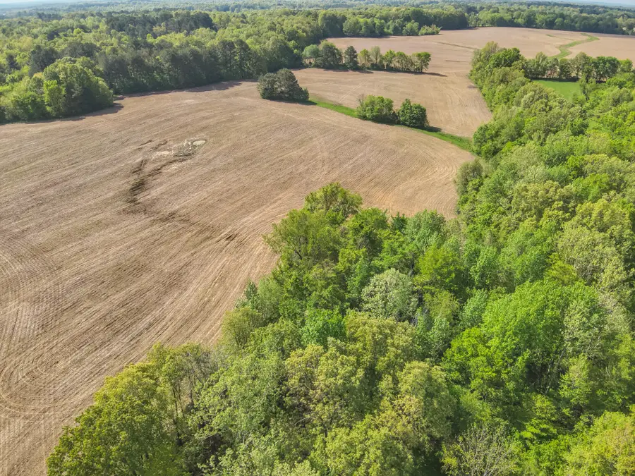 999 Housman Road, Boaz, KY 42027 - #3
