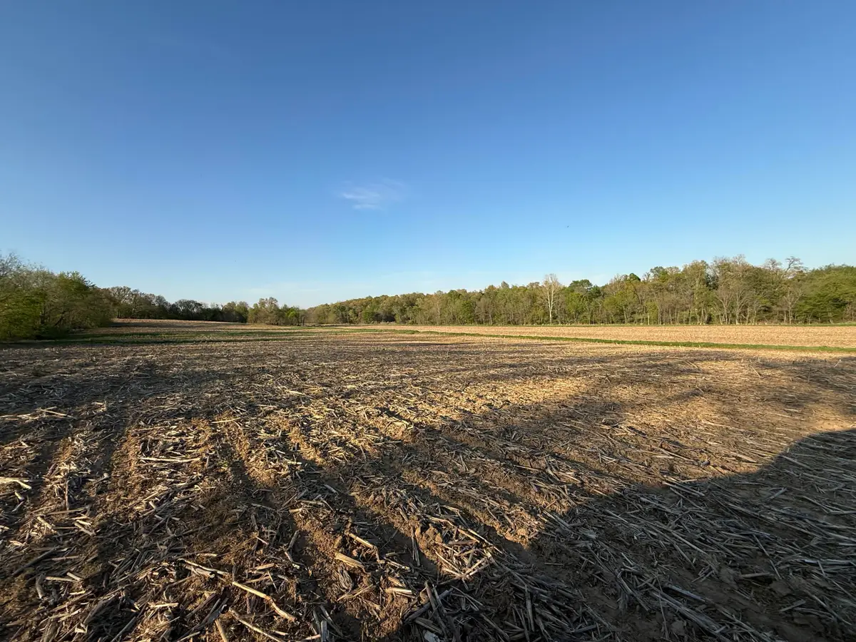 0 Carter Road, Mayfield, KY 42066 - #1