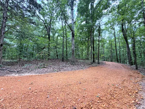 096-D-0002 Beat Farmer Road, New Concord, KY 42076