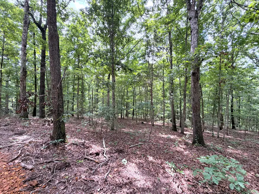 096-D-0002 Beat Farmer Road, New Concord, KY 42076 - #2