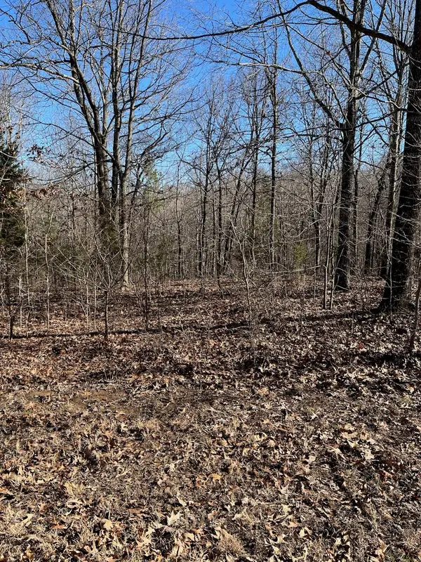 Lot 62 Weekend Lane, Murray, KY 42071