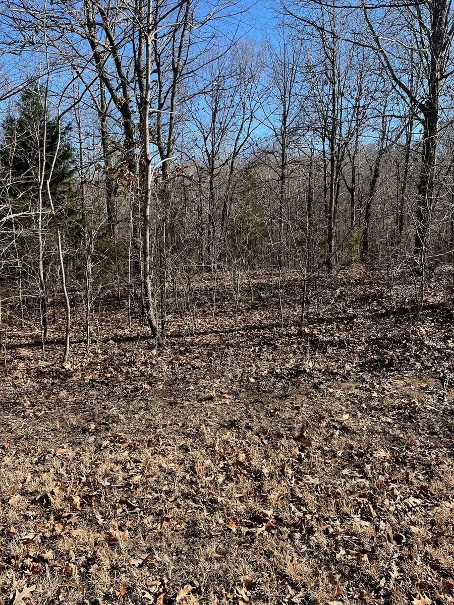 Lot 62 Weekend Lane, Murray, KY 42071 - #2