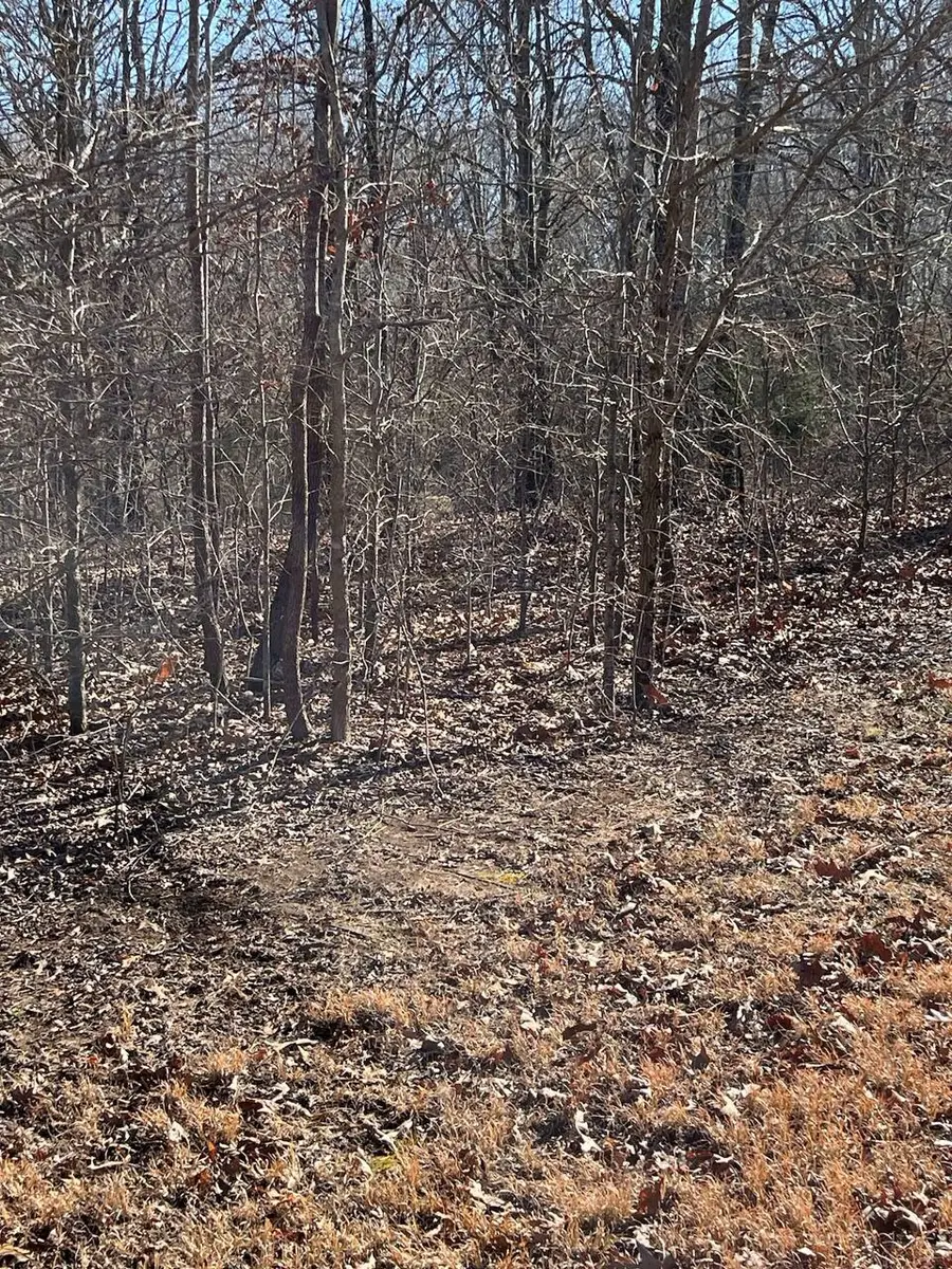Lot 62 Weekend Lane, Murray, KY 42071 - #3