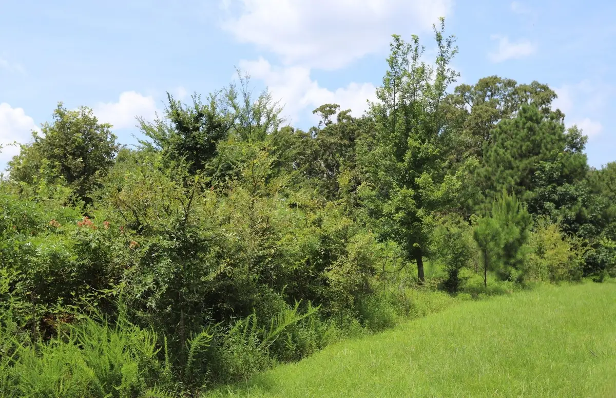Lot 58 Kirk Ridge Drive, Murray, KY 42071 - #1
